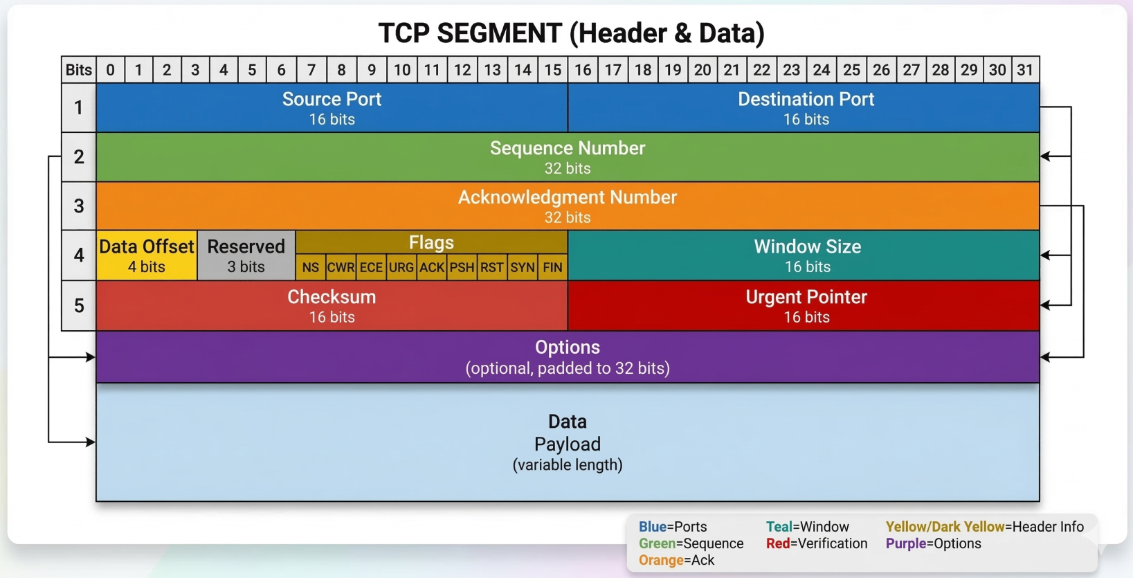 TCP Segment Structure